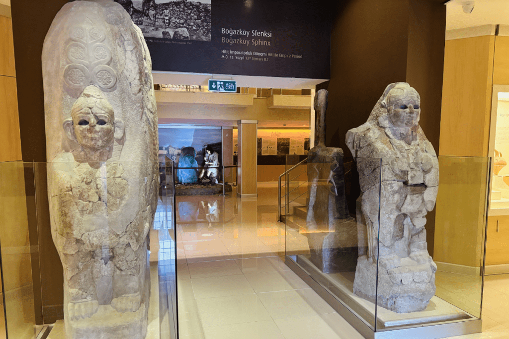 Two large ancient stone Sphinx statues displayed inside glass cases at the Boğazkale Museum.