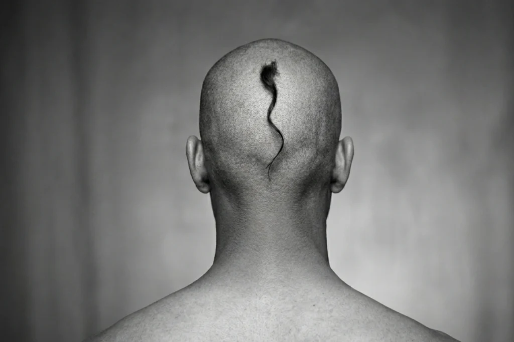 A 3D digital model showing the back of a clean-shaven human head with a single long, sikha-like strand of hair braided down the center.