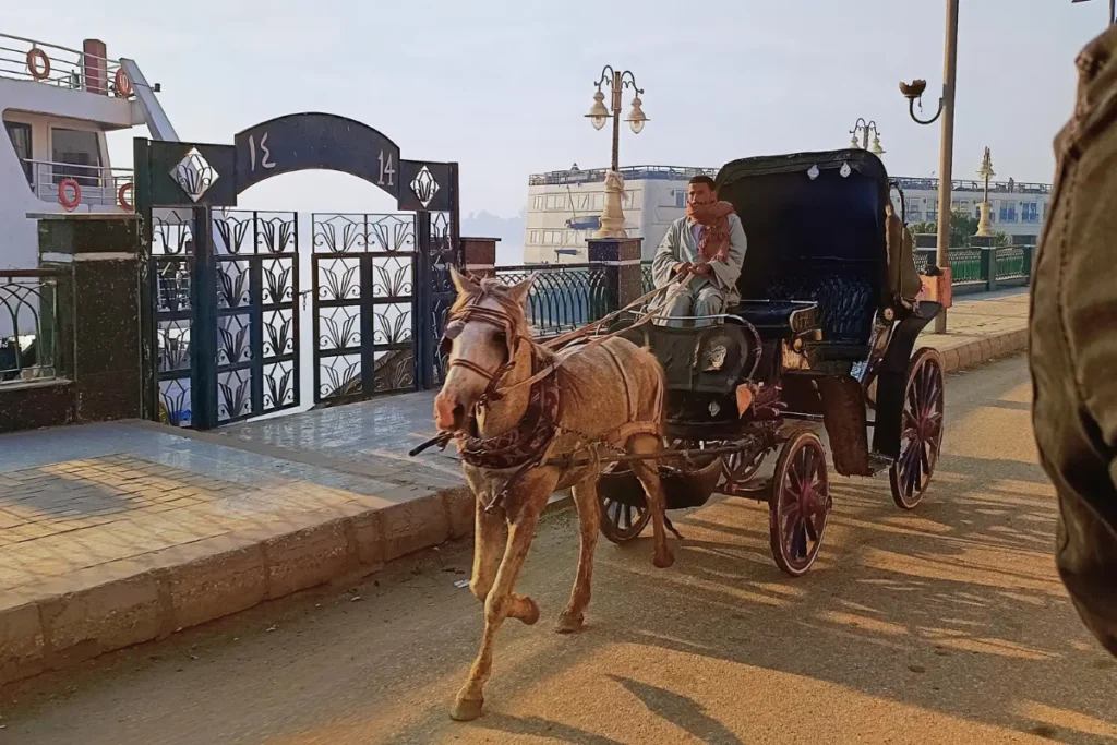 A traditional black horse-drawn carriage parked outside a building entrance.