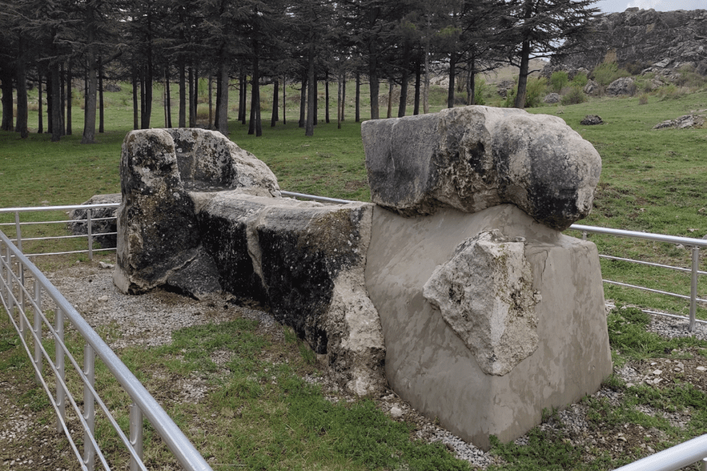 A large, weathered stone water basin carved with the figures of lions sitting on a grassy field.