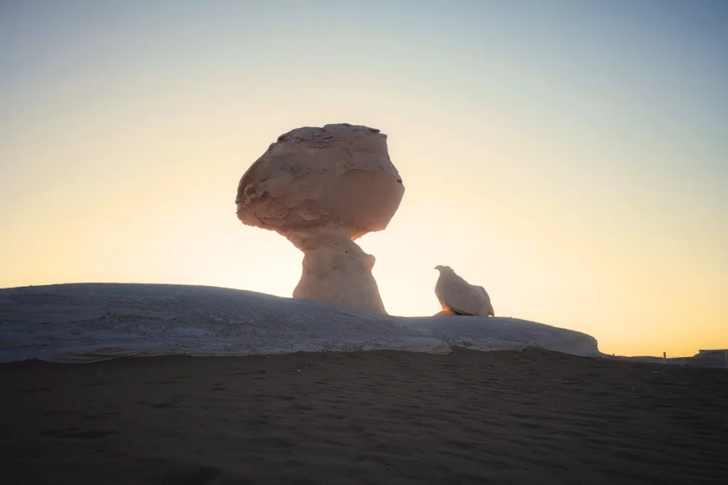 A scenic view of the famous natural chalk formations known as the "Mushroom and Chicken" standing on white sand under a soft twilight sky.