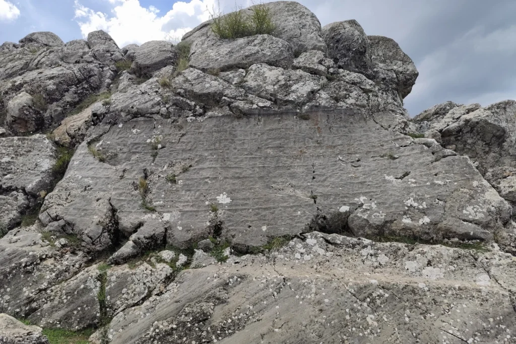  A close-up of a heavily weathered rock surface containing ancient Luwian hieroglyphic inscriptions.
