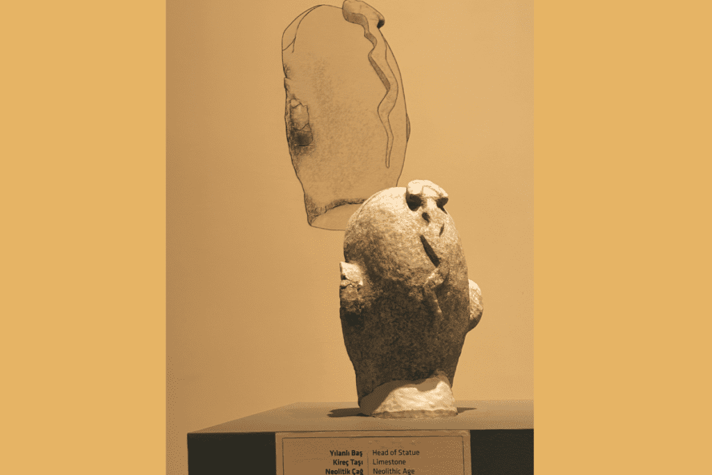 A museum display showing a carved ancient limestone human head with an explicit, stylized braided lock of hair running down the back.