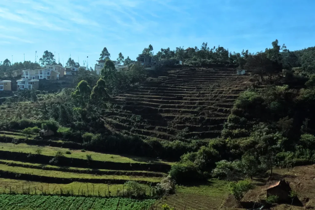 Poombarai rice terraces nestled in terraced hills of Kodaikanal surrounded by lush vegetation Tamil Nadu