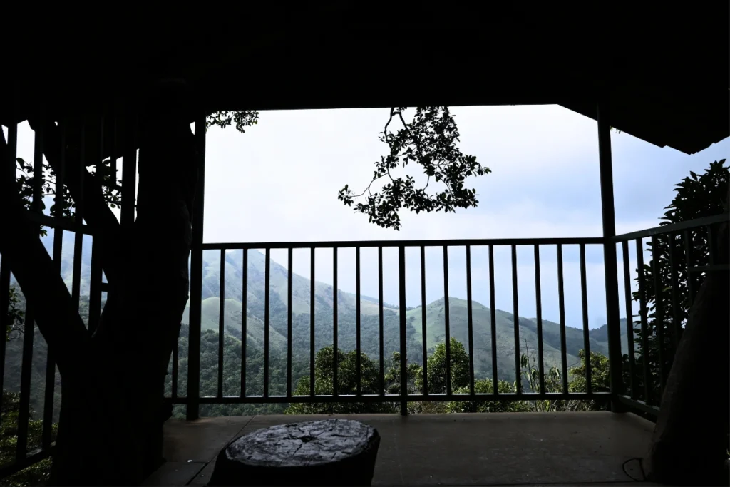 South India- 900 Kandi 2 Looking out from a wooden balcony railing toward a panoramic view of a thick, green forest valley.
