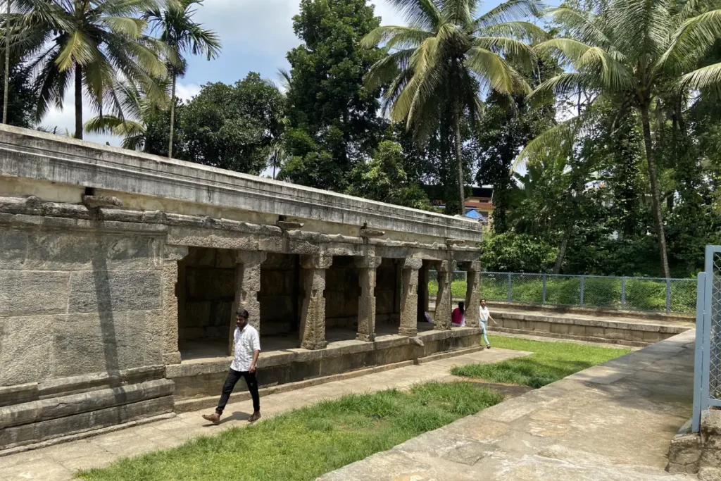 South India- Jain Temple The rear view of the ancient stone temple structure standing among tall coconut palm trees.