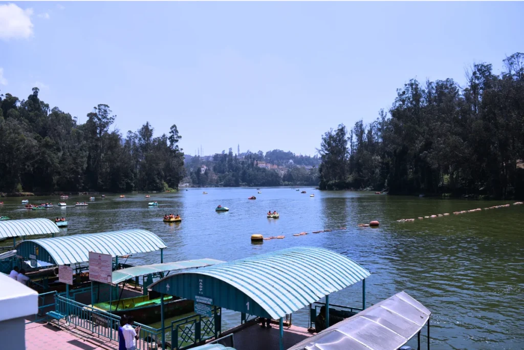 South India- Ooty Lake A calm lake flanked by tall evergreen trees with multiple small motorized boats and docks floating near the shore.