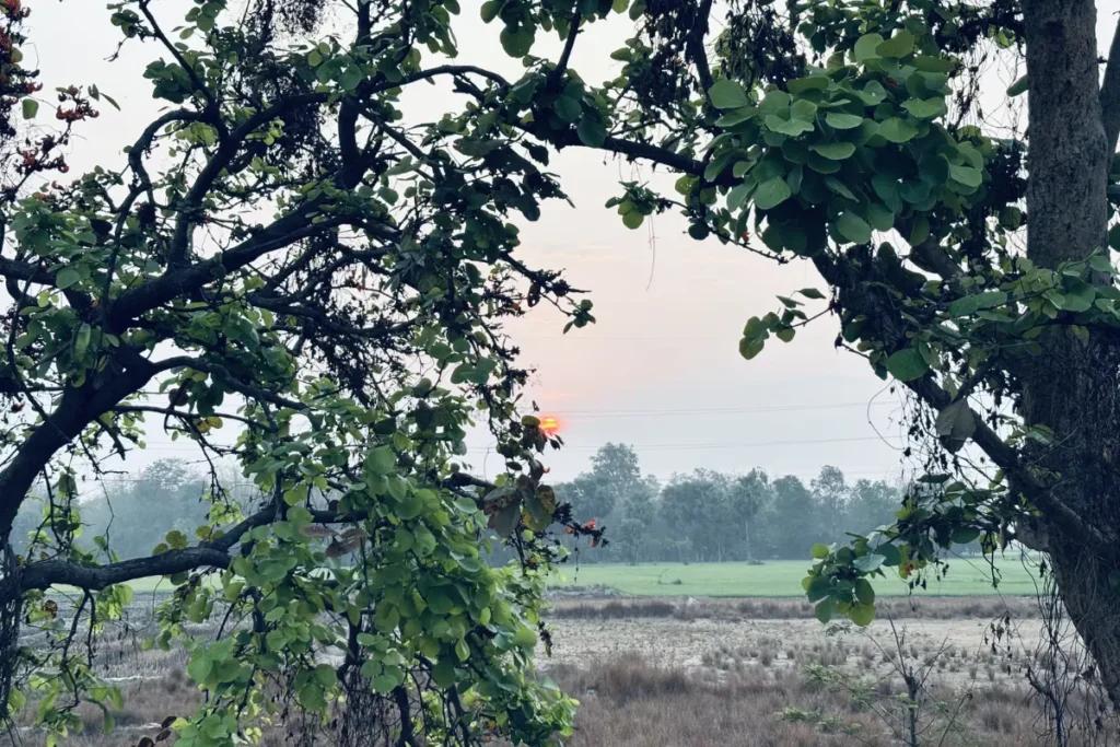 A view through a car window showing a rural highway with lush greenery and sunrise
