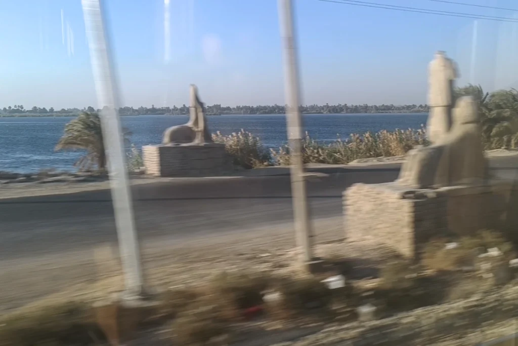  A morning view from the train window looking out over palm trees and a calm body of water during sunrise.