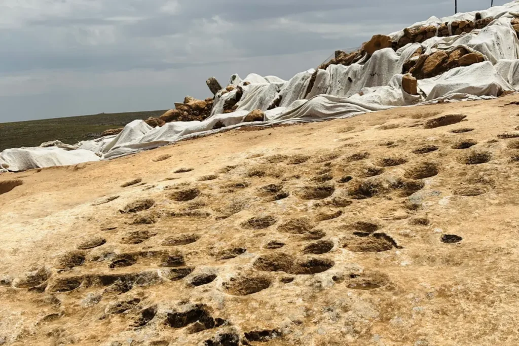 Karahan Tepe 2 An aerial perspective showing several circular and oval stone structures excavated into the ground at Karahan Tepe.
