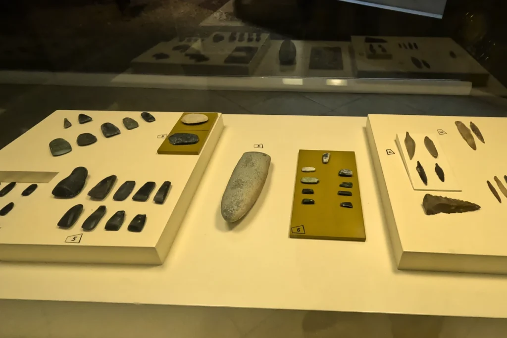 A glass display case showcasing various small prehistoric stone tools, obsidian arrowheads, and sharp blades.