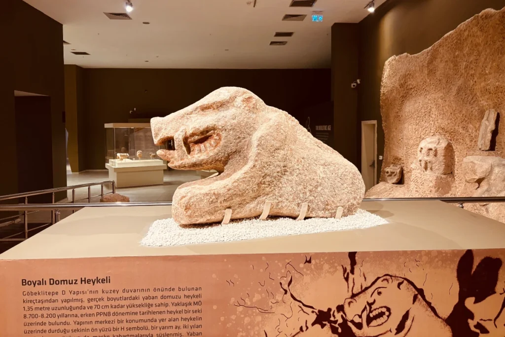 A sculpted limestone statue of a wild boar with open jaws displayed on a platform inside the museum exhibition room.