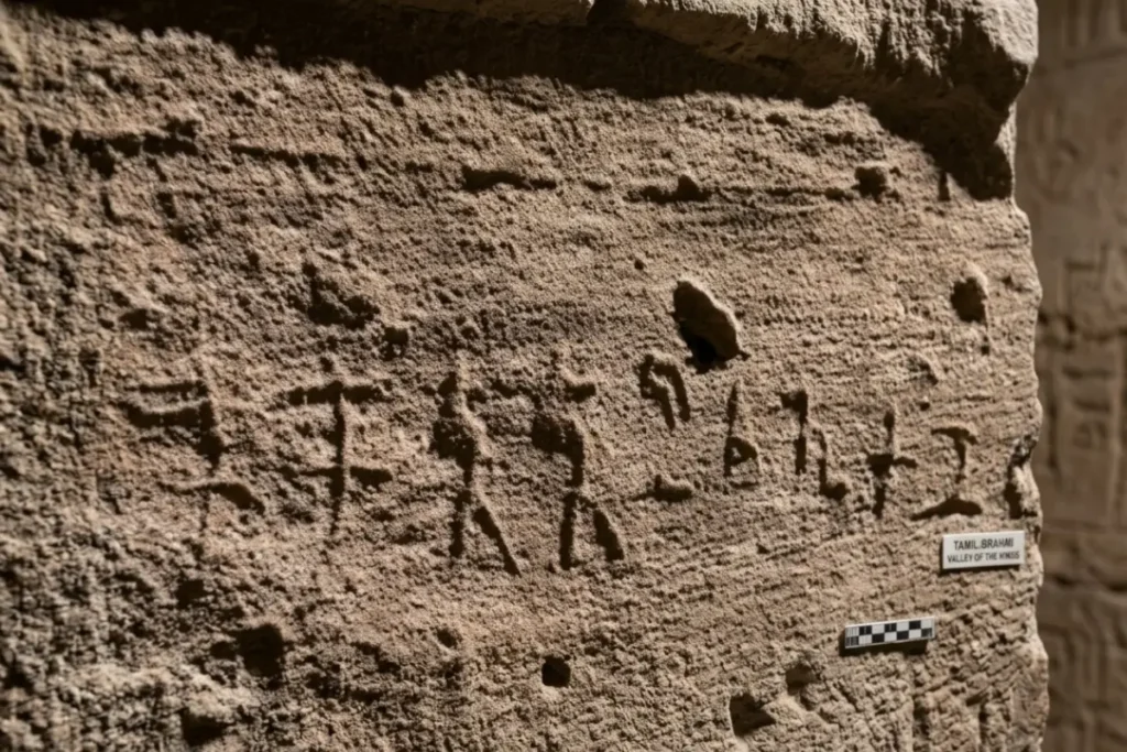 Valley of the kings- Tamil script A close-up view of old, chiseled inscriptions on a rough rock face.