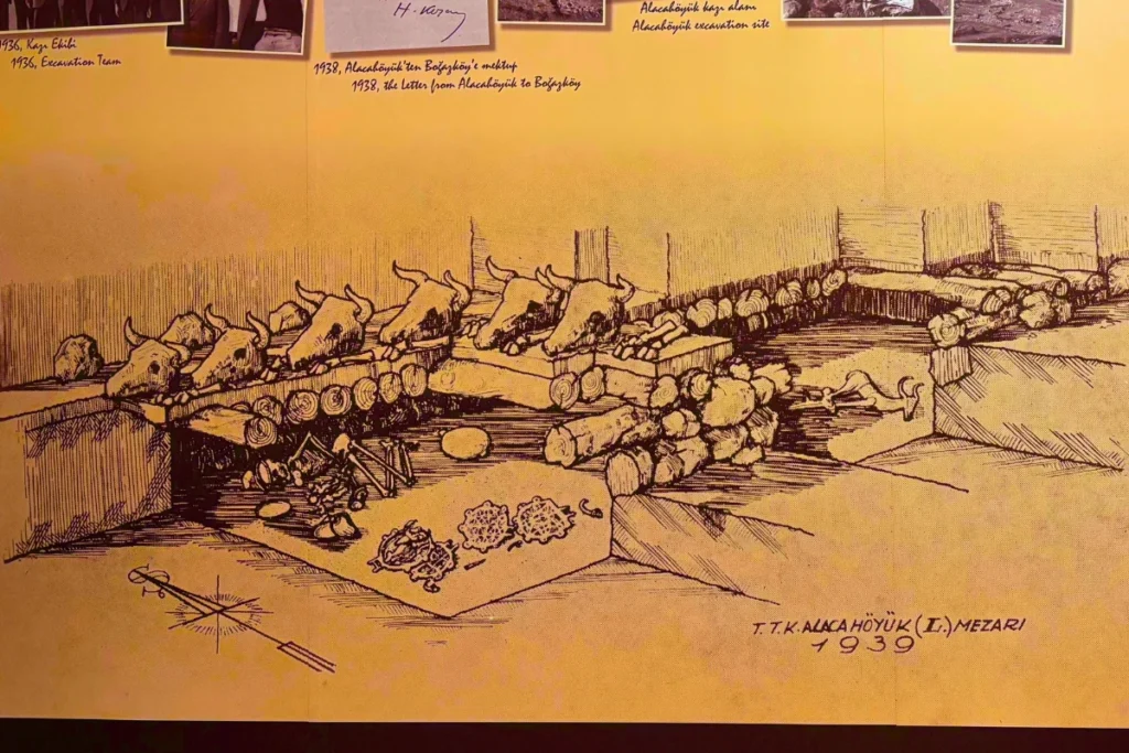 Alacahoyuk 5 Museum display board showing a historical illustration of ancient royal burial rituals and excavations at Alacahöyük.