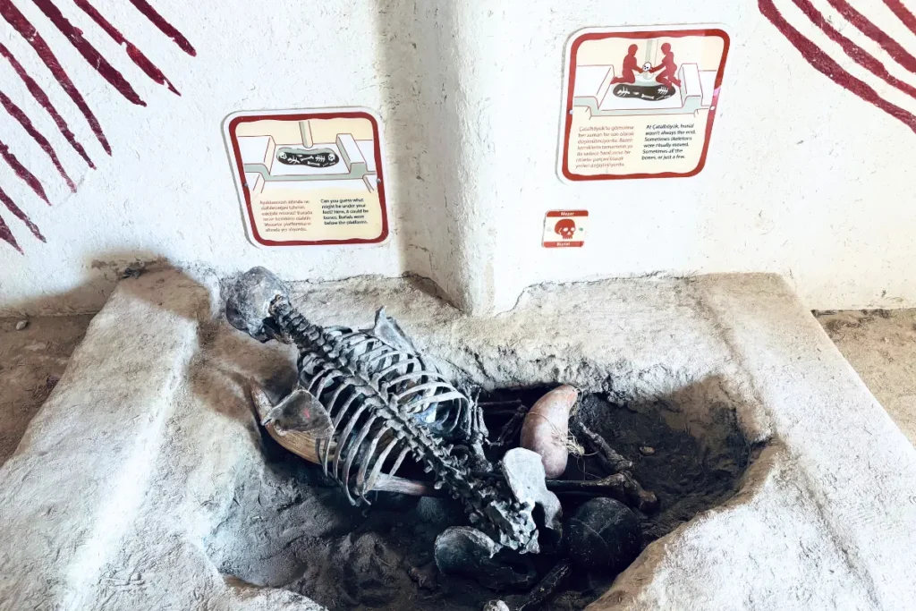 CatalHoyuk 1 Museum replica showing a skeleton buried underneath the floorboards of an ancient house structure.