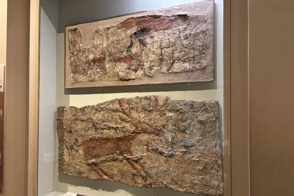 CatalHoyuk 13 (1) Ancient fragments of prehistoric wall paintings mounted behind glass in a museum.