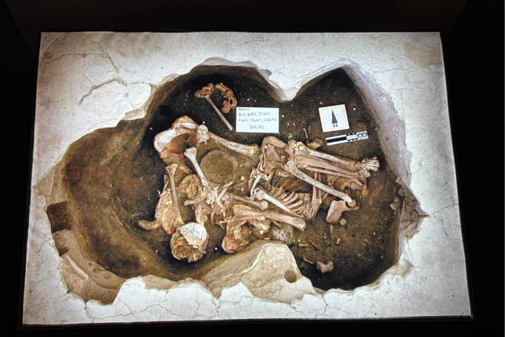 CatalHoyuk 14 Detailed close-up view of a burial excavation display representing human remains found beneath the floor.